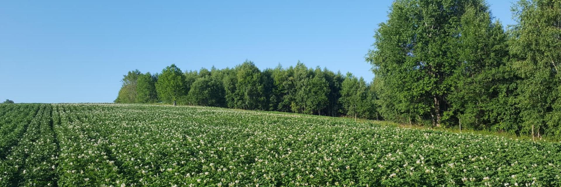 Agro Tradițional Apuseni