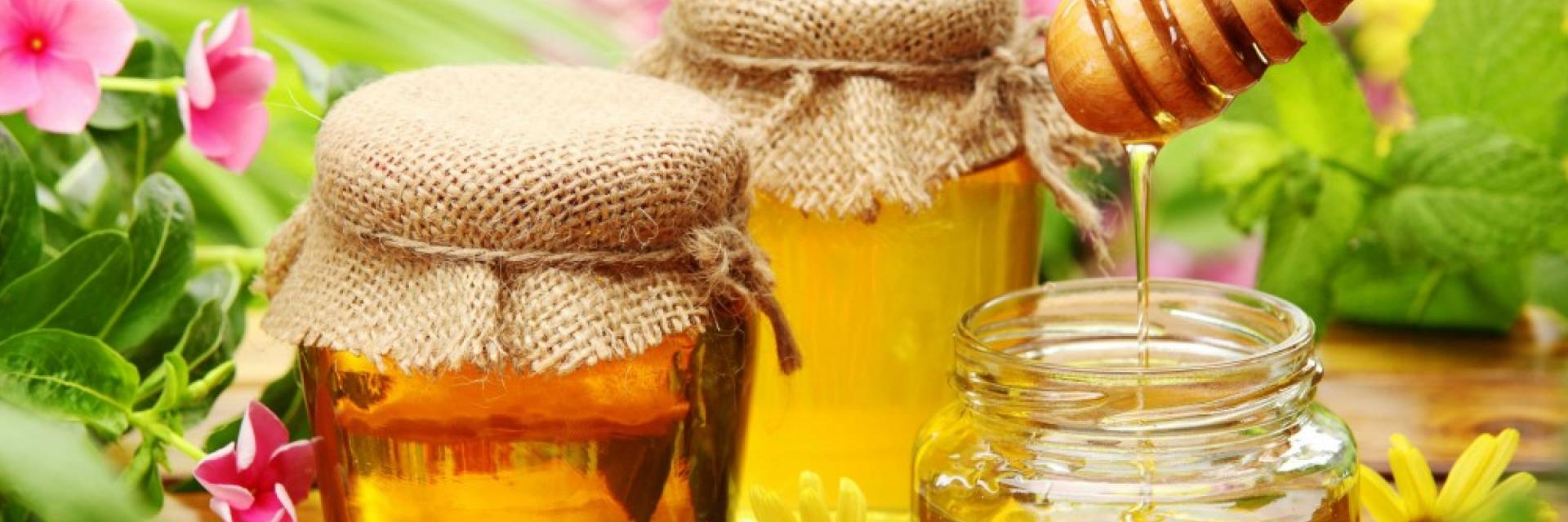 Ferma Apicolă Titișan 