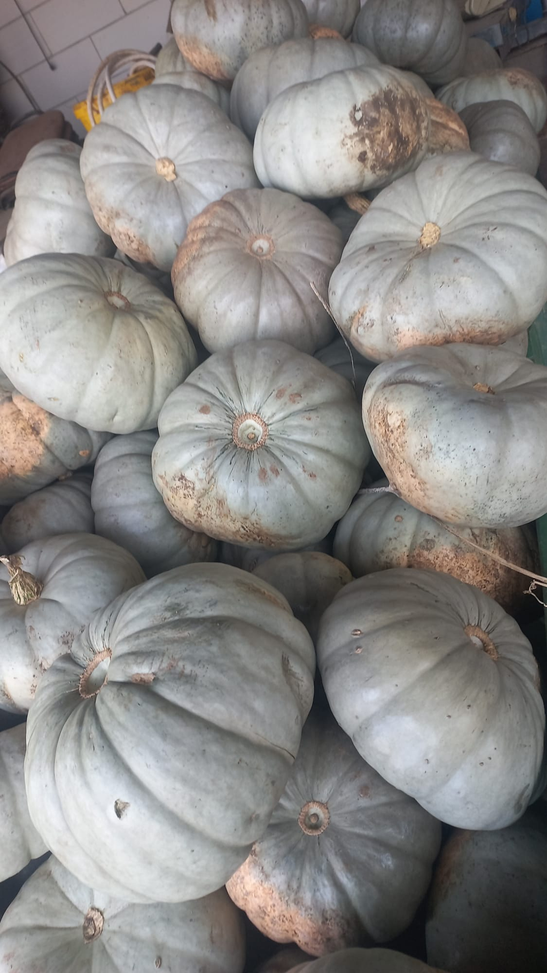 Legume Florești