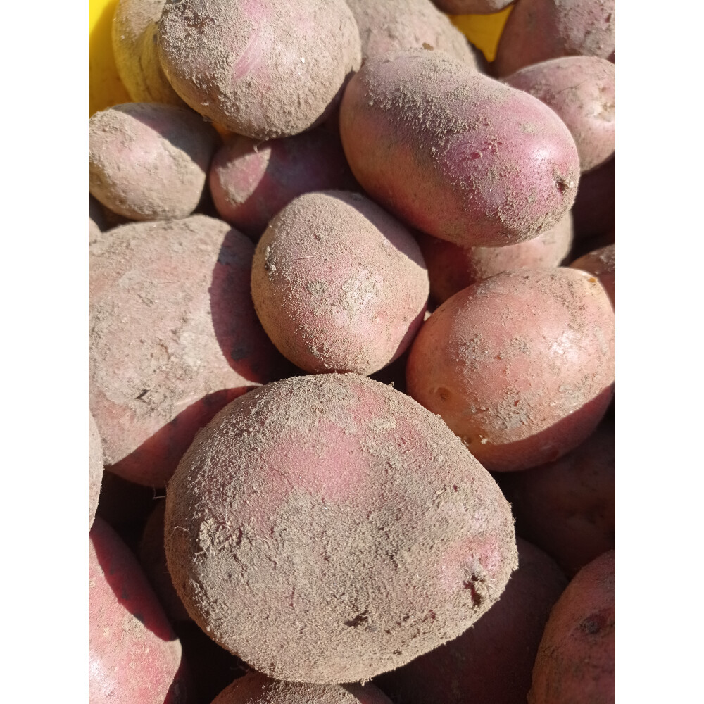 Cartofi roșii - 1kg                                                                                                         