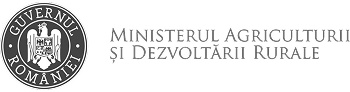 Minister
